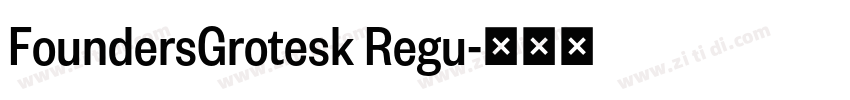 FoundersGrotesk Regu字体转换